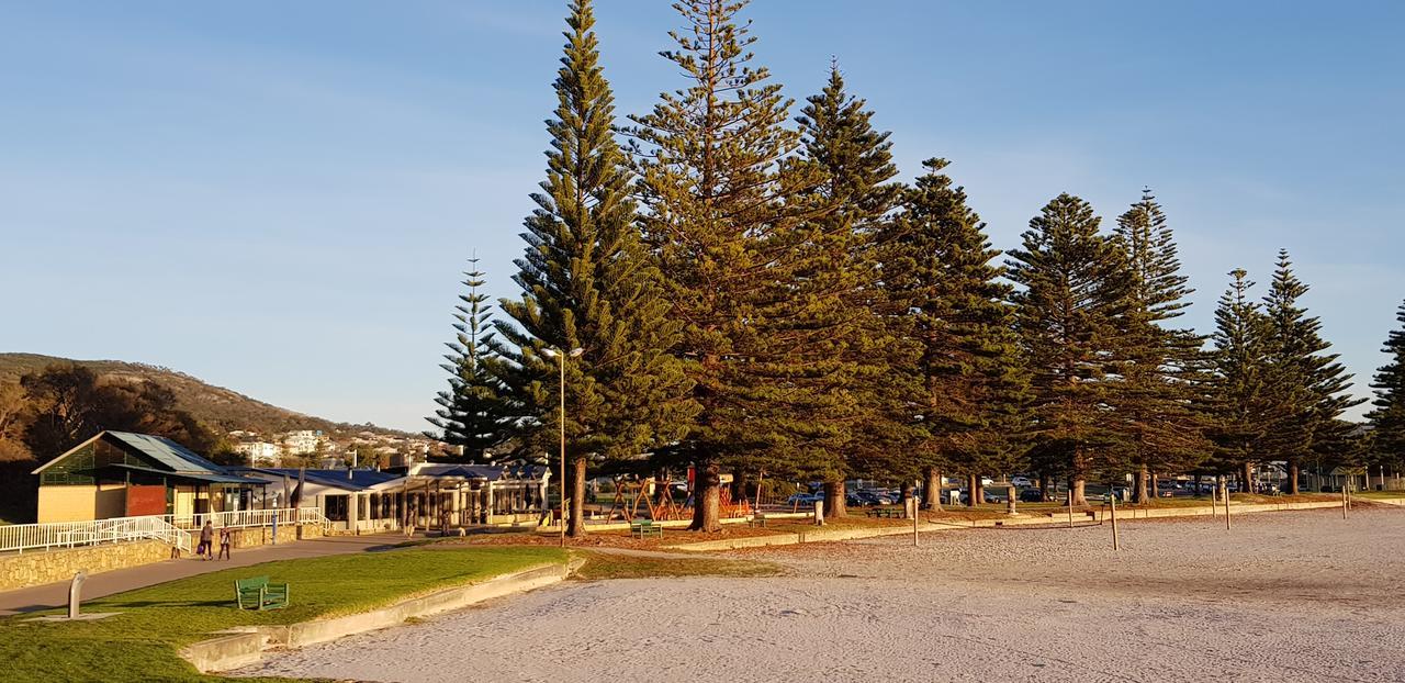 Park Avenue Holiday Units Олбани Экстерьер фото